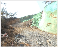  2025Ÿ��20984  �Ӿ߰��