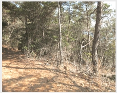  2025Ÿ��20984  �Ӿ߰��