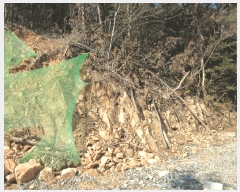  2025Ÿ��20984  �Ӿ߰��