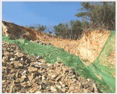  2025Ÿ��20984  �Ӿ߰��