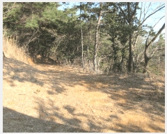  2025Ÿ��20984  �Ӿ߰��