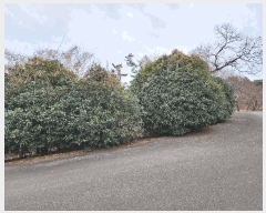  2025Ÿ21017 泲  ظ ¸ 119      (Ӿ)