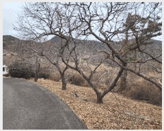  2025Ÿ21017 泲  ظ ¸ 119      (Ӿ)