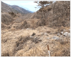  2025Ÿ21017 泲  ظ ¸ 119      (Ӿ)