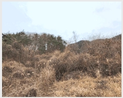  2025Ÿ21017 泲  ظ ¸ 119      (Ӿ)