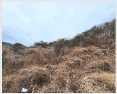  2025Ÿ21017 泲  ظ ¸ 119      (Ӿ)