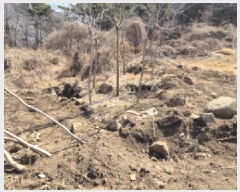  2025Ÿ21017 泲  ظ ¸ 119      (Ӿ)