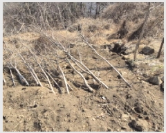  2025Ÿ21017 泲  ظ ¸ 119      (Ӿ)