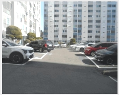  2025Ÿ��21024  ����Ʈ���