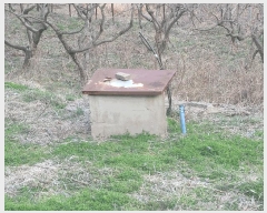  2025Ÿ��21032 �泲 �뿵�� ����� ������ 33-1      ����(��1)���