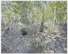  2025Ÿ21064 泲  û  15-16      (Ӿ)