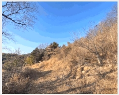  2025Ÿ21064 泲  û  15-16      (Ӿ)