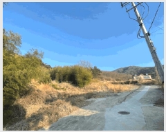  2025Ÿ21064 泲  û  15-16      (Ӿ)