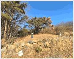  2025Ÿ21064 泲  û  15-16      (Ӿ)