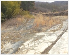  2025Ÿ21064 泲  û  15-16      (Ӿ)