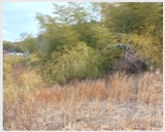  2025Ÿ21064 泲  û  15-16      (Ӿ)