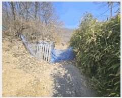  2025Ÿ21080 泲 뿵  Ȳ 688-2      (1)