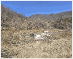  2025Ÿ21080 泲 뿵  Ȳ 688-2      (1)