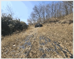  2025Ÿ21080 泲 뿵  Ȳ 688-2      (1)