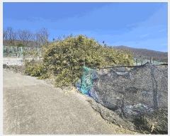  2025Ÿ21080 泲 뿵  Ȳ 688-2      (1)