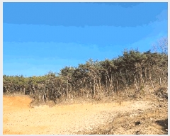  2025Ÿ��21088 �泲 ������ ���� �̷渮 ��241-1      ����(�Ӿ�)���