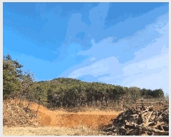  2025Ÿ��21088 �泲 ������ ���� �̷渮 ��241-1      ����(�Ӿ�)���