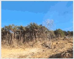  2025Ÿ��21088 �泲 ������ ���� �̷渮 ��241-1      ����(�Ӿ�)���