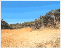  2025Ÿ��21088 �泲 ������ ���� �̷渮 ��241-1      ����(�Ӿ�)���