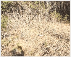  2025Ÿ��21088 �泲 ������ ���� �̷渮 ��241-1      ����(�Ӿ�)���