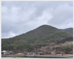  2025Ÿ��21088 �泲 ������ ���� �̷渮 ��241-1      ����(�Ӿ�)���