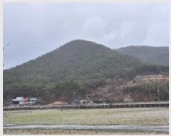  2025Ÿ��21088 �泲 ������ ���� �̷渮 ��241-1      ����(�Ӿ�)���