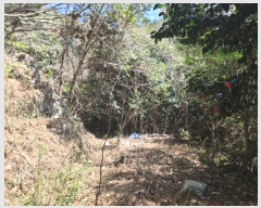  2025Ÿ21128 泲 뿵  긮 446-1      (1)