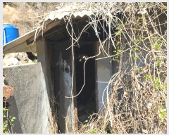  2025Ÿ21128 泲 뿵  긮 446-1      (1)