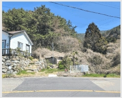  2025Ÿ21128 泲 뿵  긮 446-1      (1)