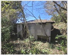  2025Ÿ21128 泲 뿵  긮 446-1      (1)