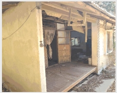  2025Ÿ21128 泲 뿵  긮 446-1      (1)