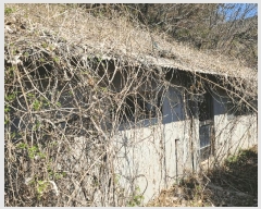  2025Ÿ21128 泲 뿵  긮 446-1      (1)