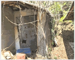  2025Ÿ21128 泲 뿵  긮 446-1      (1)