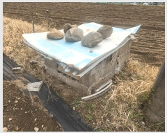  2025Ÿ��21161 �泲 ������ ���ʸ� ���� 468-1      ����(��)���