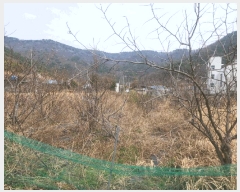  2025Ÿ��21161 �泲 ������ ���ʸ� ���� 468-1      ����(��)���