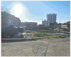  2025Ÿ��21177 �泲 ������ ������ 336       ����(��)���