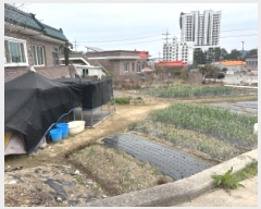  2025Ÿ��21177 �泲 ������ ������ 336       ����(��)���