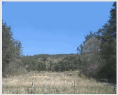  2025Ÿ��21210  �Ӿ߰��