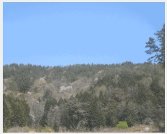  2025Ÿ��21210  �Ӿ߰��