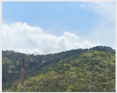  2025Ÿ��21210  �Ӿ߰��