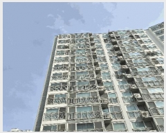  2025Ÿ21226 泲  󵿵 735 뵿ٽƮ 115 101004ȣ    Ʈ