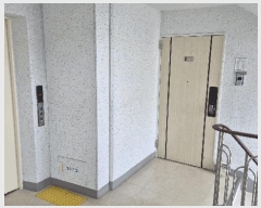  2025Ÿ21226 泲  󵿵 735 뵿ٽƮ 115 101004ȣ    Ʈ