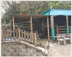  2025Ÿ��21234  �ٰ������ð��