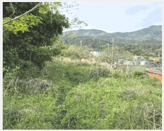  2025Ÿ21275 泲  Ͽ  543      (1)