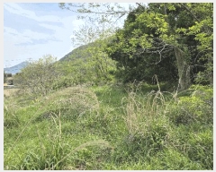  2025Ÿ21275 泲  Ͽ  543      (1)